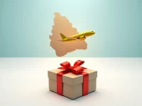 苏里南托特内斯机场TOT科罗尼地区空运业务概览及代码查询指南