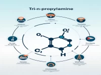 Tri-n-propylamine Maritime Export Process Explained