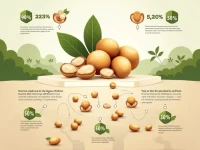 Global Macadamia Nut Trade Key HS Code 0802609000 Insights