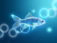 Global Exporters Face New Seafood Import Rules