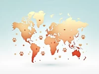 掘金东南亚宠物市场爆款选品与吸睛短视频炼成术