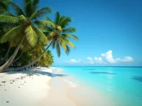 Exploring Tarawa Island The Maritime Pearl and Commercial Hub of Kiribati