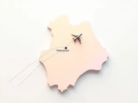 Tenkodogo Airport Key Hub in Burkina Fasos Aviation Network