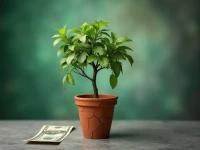 亚马逊广告止损指南8大关键自检让每一分投入都掷地有声