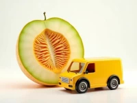 Top Courier Services for Fresh Hami Melon Delivery