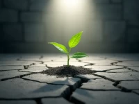 Suihua Firms Adopt Yahoo Native Ads for Targeted Marketing