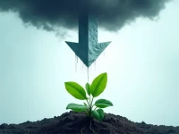 US Service Sector Grows in Early 2026 Despite Inflation Export Woes