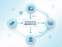 如何准确使用DBBLBDDH101进行国际汇款