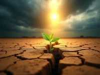 拨云见日货运市场曙光初现消费信心能否点燃增长引擎