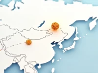 Lithuaniachina Sea Freight Key Factors in Selecting a Forwarder