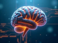 温州IT技能提升计划JavaPython等热门课程免费体验