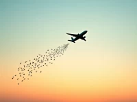 Aviation Industry Advances Bird Strike Prevention Measures