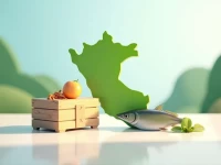 跨境贸易提速秘鲁边境管理升级打造高效通关新引擎