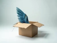 Aviation Cargo Claims Rights and Procedures Postaccident