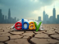 eBay 中国折戟沉沙卖家生存痛点与平台突围策略深度解析