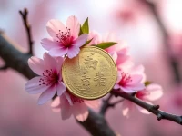 掘金东瀛亚马逊日本站卖家入驻攻略与市场洞察