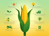 东方甄选鲜食玉米6元一穗背后的价值链解密