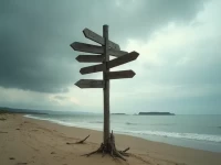 Shopify Exchange Marketplace 落幕独立站卖家转向何方