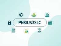 确保您的跨境汇款安全PNBPUS33SLC SWIFTBIC代码解析