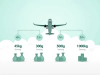 南京到东伦敦空运价格揭秘：如何节省运费？