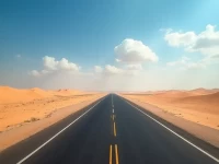 探索乍得的航运枢纽法亚拉尔格机场概况