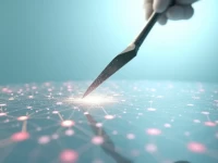 亚马逊广告优化每天都必须动刀吗精细化运营的关键策略