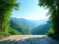 大海星橙三周年莫干山团建以团魂绘就增长新篇