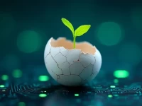 沃尔玛电商梦碎关停SaaS平台ANS Commerce背后真相