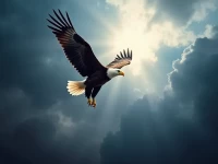 美国邮政公布十年振兴计划聚焦财务重塑与服务升级