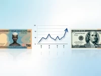 当前斯瓦济利兰里朗基与美元的汇率动态分析