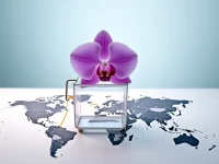 法属圭亚那货运代理资质IATA认证要求详解