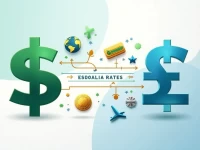 Best Practices for USD to Somali Shilling Exchange