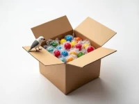 Bage Express Enhances Secure Shipping for Blind Box Retailers