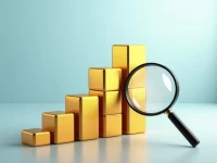 甘比亚税务局项目管理方法论成功落地助力组织效能提升