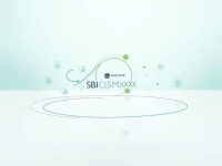 掌握莱索托Standard Lesotho Bank的SWIFT代码让国际汇款更顺畅