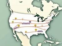 Union Pacific Norfolk Southern Merge to Form First US Transcontinental Railroad