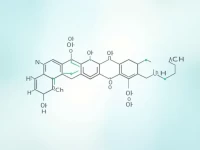 Global Market Trends for Halogenated Aromatic Hydrocarbons