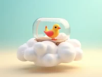 Guide to Safe Air Transport for Birds