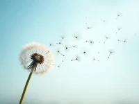 海外发稿全攻略品牌出海如何让世界听到你的声音