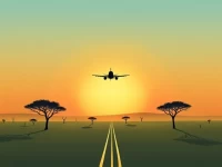 Guide to Sabi Sabi Airport in South Africas Bush