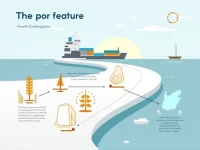 布兰卡港阿根廷南部的海运枢纽解析