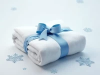 冬季袄子安全寄递指南包装材质选择与操作规范全解析