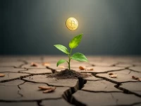 Ebay Sellers Shift from Dropshipping to Direct Sales Strategies