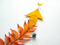 Canada Fasttracks Startup Visas Amid Growing Oversight