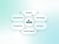 Ecommerce Firms Boost Efficiency with Advanced Warehouse Systems