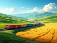 Zhengou International Freight Train Successfully Completes Import Grain Transportation, Supporting New International Logistics Corridor