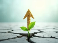 eBay新店低额度突围销量增长与额度提升双攻略