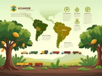 拉美巧克力供应链：向可持续与韧性物流的转型