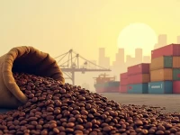 巴西港口告急物流拥堵或致出口巨额损失货主货代请注意