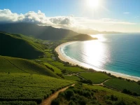 探索新西兰的空中珍珠怀赫基里夫机场概览